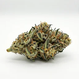 rainbow multicolour cannabis!! bud! on a white table, simple background, high resolution photo