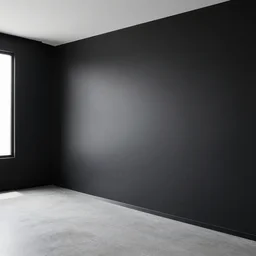 a minimalist luxury apartment with black walls