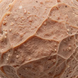 organic texture of biological tissues, super hd close up