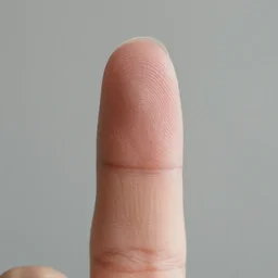 close up of a single finger with the finger print facing the camera, ultra realistic, 4 k, octane render