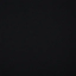black canvas