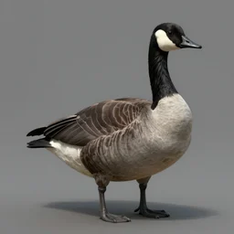 tonemapped demonic canadian goose!!! boss by artstation
