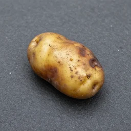 a burnt potato laying in the asphalt, realistic, 8 k, detailed