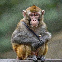 a monkey with human clothes