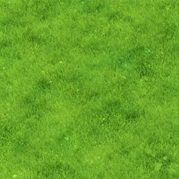 seamless video game grass texture, digital art, breath of the wild