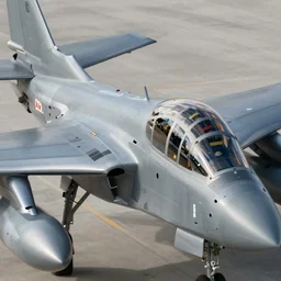 close air support, detailed, high detailed, iso 5 0 0, good lighting, 4 k ultra hd