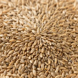 seed, organic
