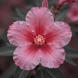 an infrared flower