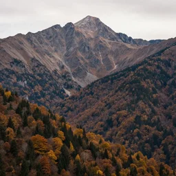 majestic mountain scene in autumn, ultra detail, professionally retouched, soft lighting, wide angle, 8 k high definition, intricate, elegant, art by pascal blanche, dean bradshaw, stefan kostic, olga fler