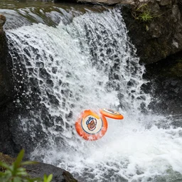 pulled pork frisbee waterfall