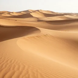 sandy sahara desert dunes