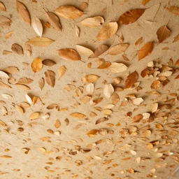 Leaves fall from the ceiling like a thousand pieces of human skin