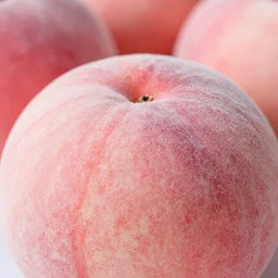 a macro photo of a round peach's dry hairy skin, hyper realistic, hyper detailed, 35mm, very grainy film, pink volumetric studio lighting, bokeh, award winning shot, vogue magazine, cinematic, 8k, very closeup, elegant, tender, pastel