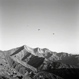 distant pterodactyls, mountains, by ansel adams, in the style of ansel adams, black and white, old, master photography