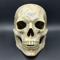 horrifying face mask made of bone and onyx