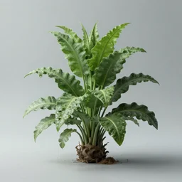 intergalactic plant, realistic dream