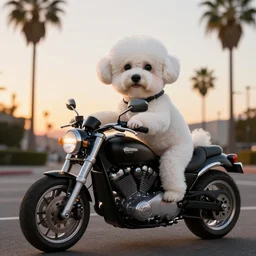 a photorealistic image of bichon frise dog riding a black motorcycle in Hollywood at sundown. Palm trees in the background. Paws on handlebars. This 4K HD image is Trending on Artstation, featured on Behance, well-rendered, extra crisp, features intricate detail and the style of Unreal Engine.
