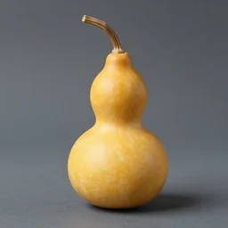 amber heard as a gourd is a gourd intercross hybrid