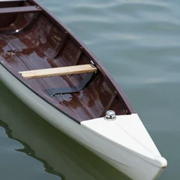 close up of a scull