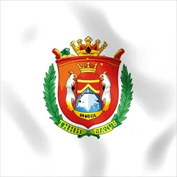 The flag of the city of Thunder Bay