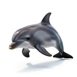 elderly dolphin, high detail photograph, full body, isolated on a pure white background, centered, entire subject in frame, sharp focus, soft studio lighting