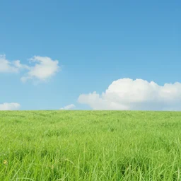 a wide meadow with blue sky and a few clouds above, super wide angle, fantasy matte painting by studio ghibli and hayao miyazaki and kazuo oga, hyperrealism, featured on artstation and cgsociety, c 4 d, ultra - realistic, 4 k hd wallpapear