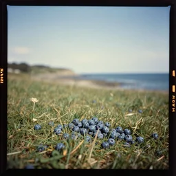kodak portra 4 0 0, wetplate, 1 9 3 0 s colour portrait of a landscape by the sea on a sunny day, by saul leiter, insanely detailed, insanely intricate, depth of field, blueberry
