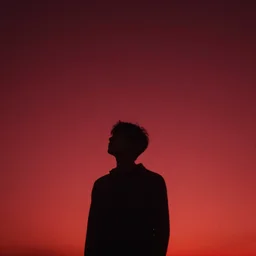 shadow of a man looking up, the background is a red sky with stars