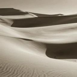 sepia tint