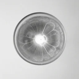 bioluminiscence, award winning black and white photography, minimalistic