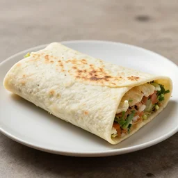 Mexican burrito