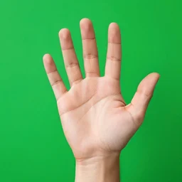 hand in front of a greenscreen