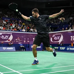 tony hawk pro badminton