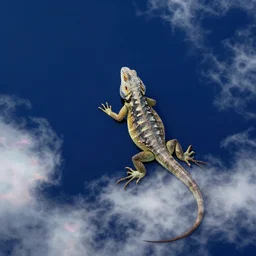 post - minimalism portrait of mastery watershed, bird's eye view, lizard king / queen forgiveing, iridescent clouds, vibrant navy color scheme, highly detailed, in the style of romanticism, cinematic, artstation, moebius, greg rutkowski