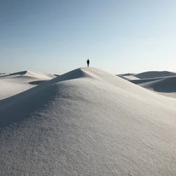 the hills have eyes