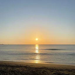 good morning sunshine,