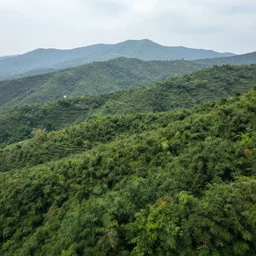 A realistic beautiful natural landscape, 4k resolution, hyper detailed