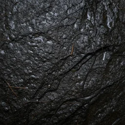 wet organic texture