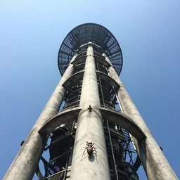 tower from the perspective of an ant