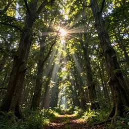 fabulous mysterious forest of magical trees. rays of sun break through foliage and branches of trees. path through thicket of the forest, cinematic view, epic sky, detailed, concept art, low angle, high detail, warm lighting, volumetric, godrays, vivid, beautiful, trending on artstation, by jordan grimmer, huge scene, grass, art greg rutkowski