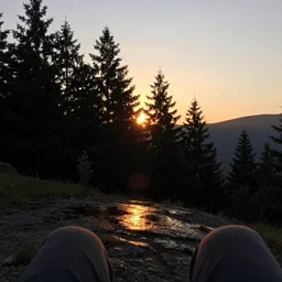 calm peaceful wooded mountain during sunset, silhouetted trees against the sky, 8k hd, light reflection, relaxing, alone, first person