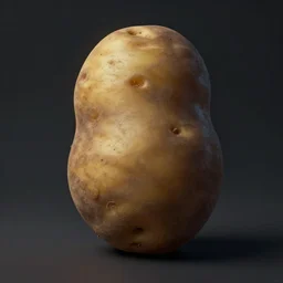 potato, highly detailed, surrealism, trending on art station, triadic color scheme, smooth, sharp focus, matte, elegant, the most beautiful image ever seen, illustration, digital paint, dark, gloomy, octane render, 8 k, 4 k, washed colors, sharp, dramatic lighting, beautiful, post processing, picture of the day, ambient lighting, epic composition