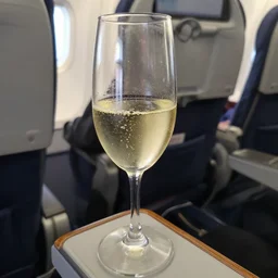 looking down at my glass of bubbly wine in premium economy, aeroplane seat, photorealism, highly detailed, wooden armrest, white wine, focus blur, photo taken on samsung galaxy