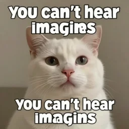 you can ’ t hear imagines meme
