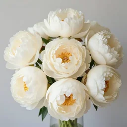beautiful cluster of cream and ivory flowers, peonies, by james jean and more jus, pastel colors,