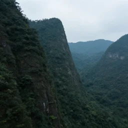 a side of a very tall mountains covered in foliage , cinematic, atmospheric, featured on artstation, ultra detailed