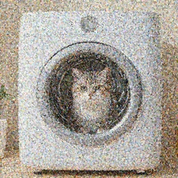 cat washing machine