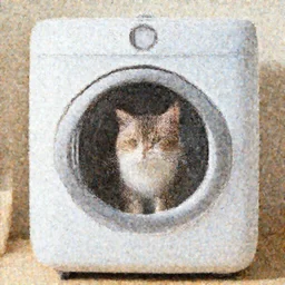 cat washing machine