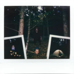paranormal trailcam footage with flash, terrifying entity, polaroid photos, strange creatures hiding in the woods, people in a tent afraid, no sun, no dof