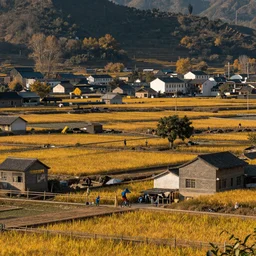 beginning of autumn, the countryside of china